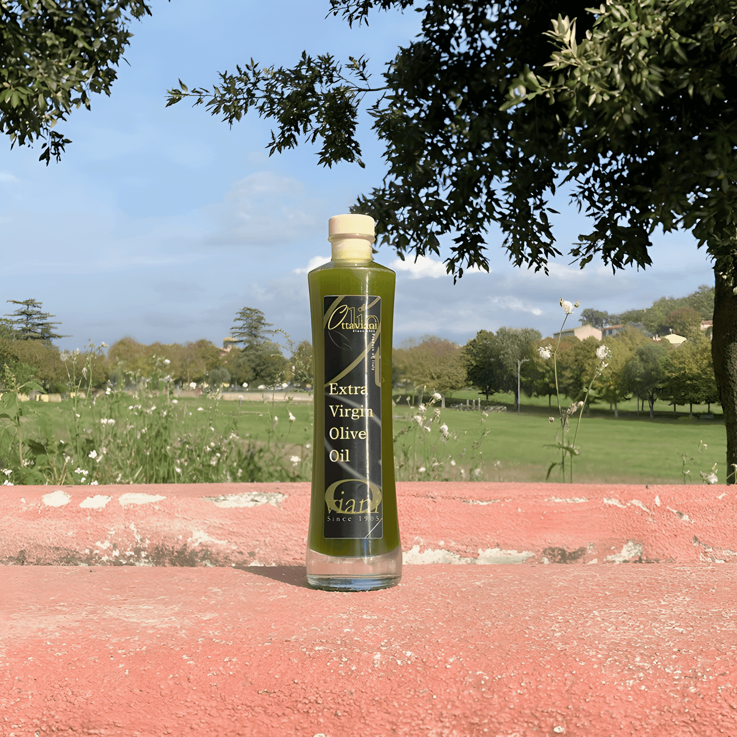 Olio di Oliva Canino